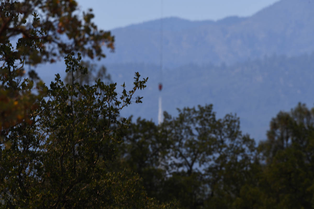 Creek fire 11