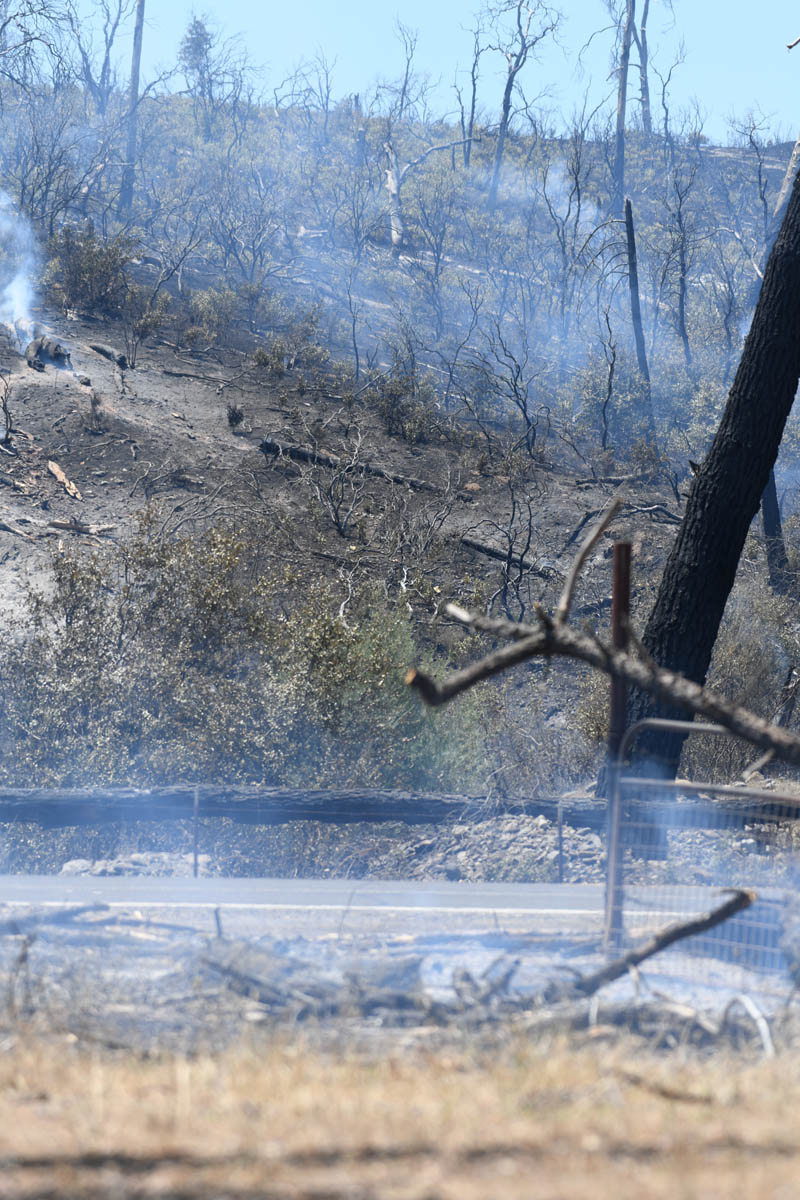 Creek fire 22